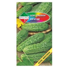 Ogórek konserwowy Avatar 100g Plantico