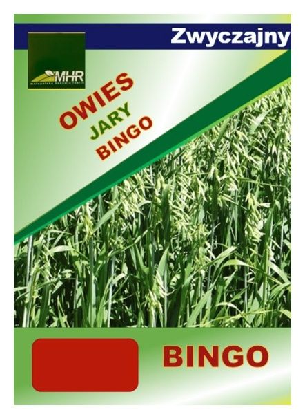 Owies jary Bingo C1 BB 1000 Kg MHR 