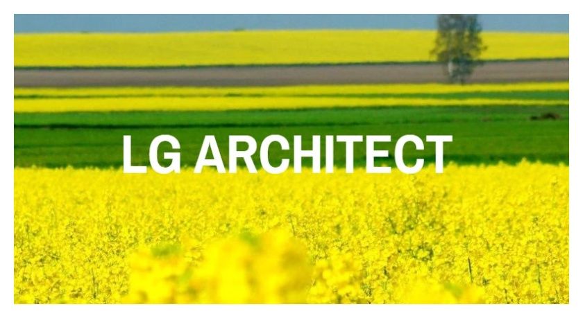 Rzepak ozimy Architect F1 C1 Lumiposa + Starcover Limagrain