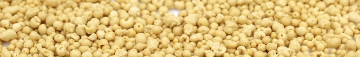 Saletrzak 27 standard 25kg Grupa Azoty