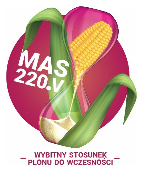 Kukurydza Mas 220.V F1 C1 50 Tyś Maisadour