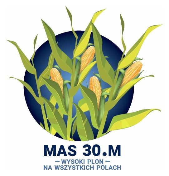 Kukurydza Mas 30.M F1 C1 50 Tyś Korit Maisadour
