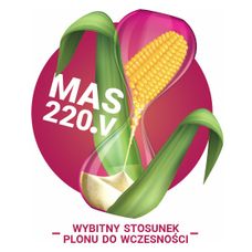Kukurydza MAS 220.V 50 Tyś F1 C1 Korit Maisadour