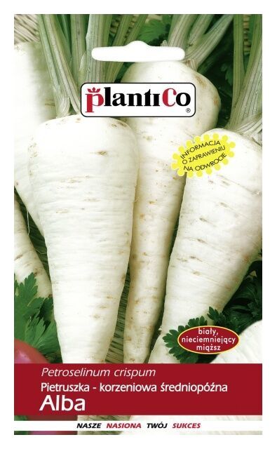 Pietruszka średnio późna Alba 100g Plantico