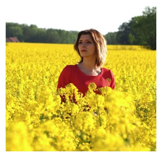 Rzepak ozimy Stanley C1 Buteo Start Saatbau