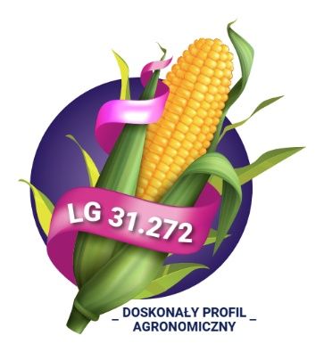 Kukurydza LG 31.272 F1 C1 50 tyś Korit + Force Limagrain