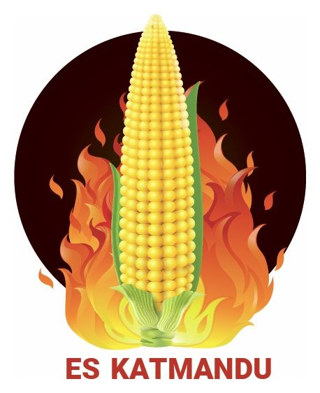 Kukurydza ES Katmandu F1 C1 50 tyś Korit Lidea