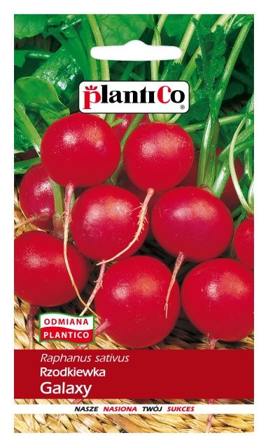 Rzodkiewka Galaxy 100g Plantico
