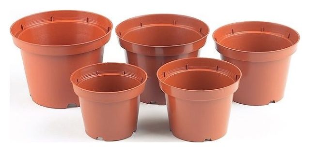 Doniczka&#x20;produkcyjna&#x20;PBN&#x20;terrakota&#x20;100&#x20;sztuk&#x20;Interplast