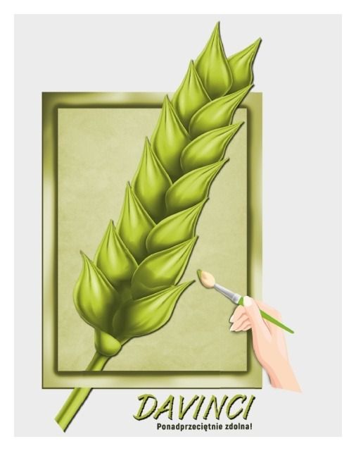 Pszenica zwyczajna ozima Davinci C1 W 1000Kg