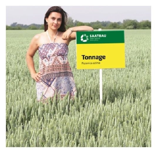 Pszenica zwyczajna ozima Tonnage C1 BB 1000Kg Saatbau