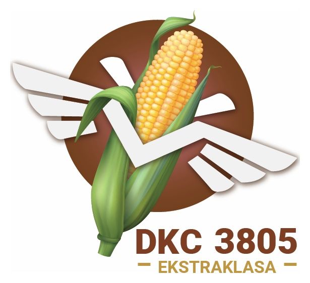 Kukurydza DKC 3805 F1 C1 50 tyś Bayer