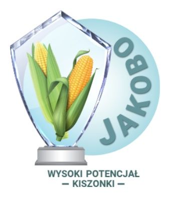 Kukurydza Jakobo F1 C1 50 tyś Optiplus + Force Saatbau 