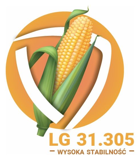 Kukurydza LG 31.305 F1 C1 50 tyś Limagrain