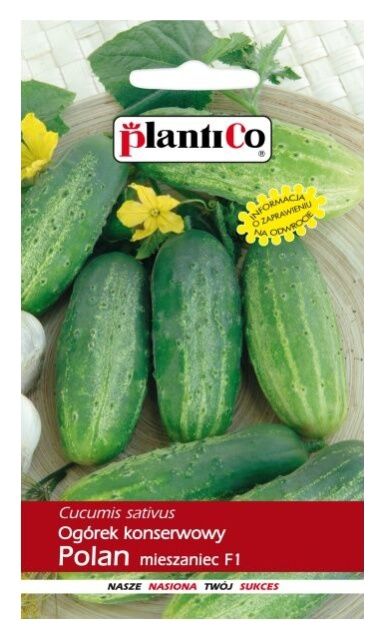 Ogórek Polan 100g Plantico