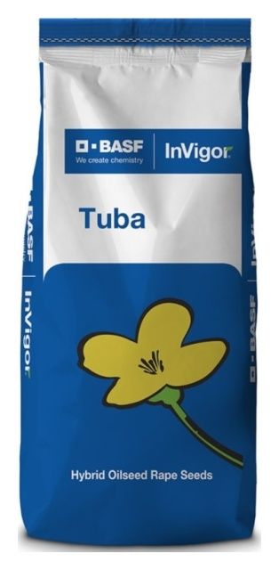 Rzepak ozimy InV Tuba F1 C1 Lumiposa Basf
