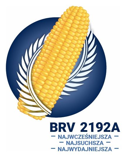 Kukurydza BRV2192A F1 C1 50 tyś Brevant