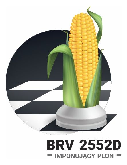 Kukurydza BRV2552D F1 C1 50 tyś Korit + Force Brevant
