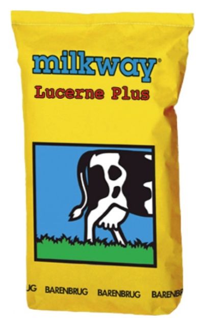Mieszanka Lucerne Plus BG-12 15 Kg Barenbrug