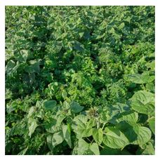 Mieszanka Międzyplonowa Lidcover Structur 15 Kg Lidea