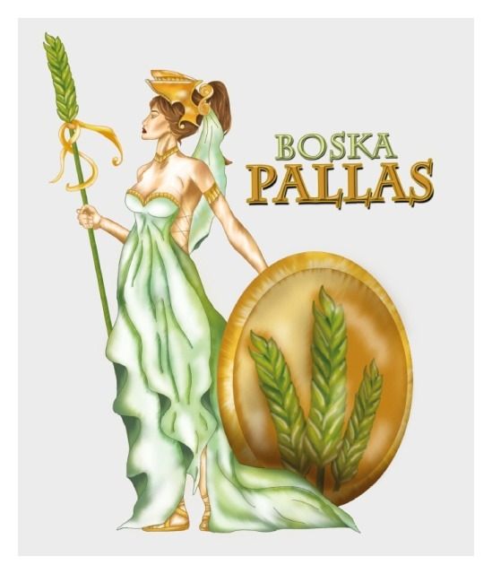 Pszenica zwyczajna ozima Pallas C1 W 1000Kg 