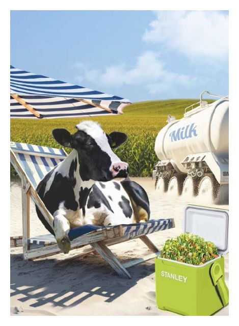 Kukurydza Stanley F1 C1 50 tyś Korit Maisadour