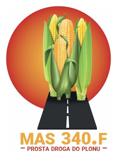 Kukurydza Mas 340.F 50 tyś C1 Force Maisadour