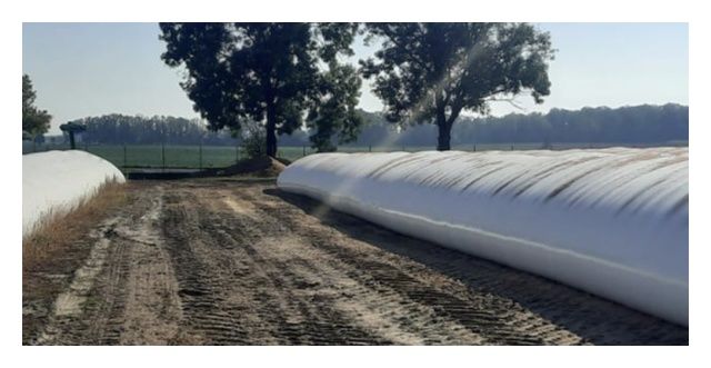 R&#x0119;kaw&#x20;foliowy&#x20;rolniczy&#x20;ErgBag&#x20;2,7&#x20;m&#x20;x&#x20;60&#x20;m&#x20;Erg&#x20;Bieru&#x0144;