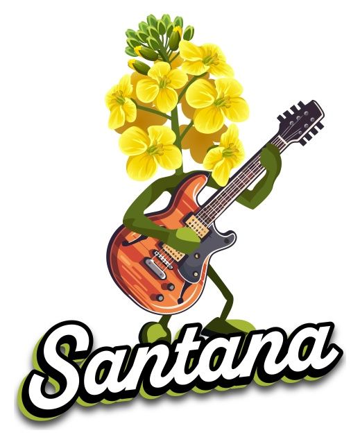 Rzepak ozimy Santana C1 2mln Integral Pro + Buteo Start Danko