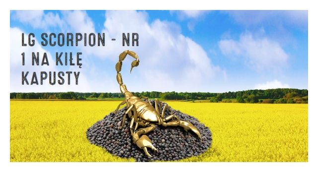 Rzepak ozimy Scorpion F1 C1 Integral Pro + Lumiposa Limagrain