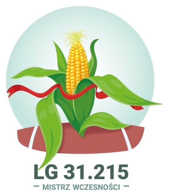 Kukurydza LG 31.215 F1 C1 50 tyś Korit Limagrain