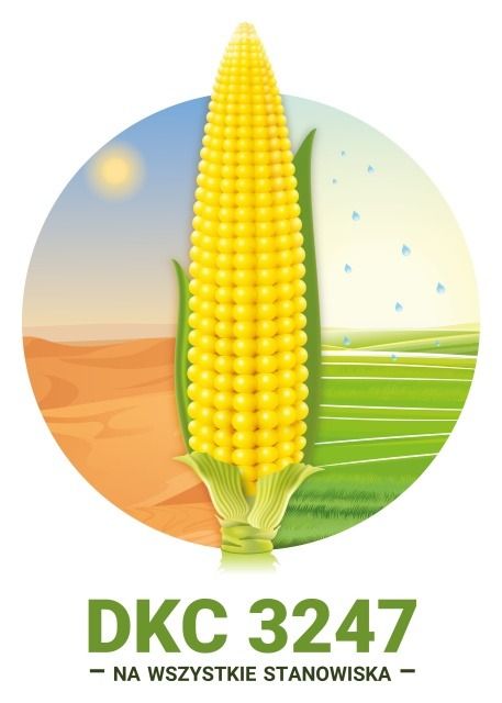 Kukurydza DKC 3247 F1 C1 50 tyś Force Bayer
