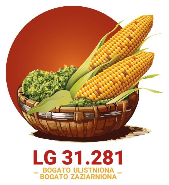 Kukurydza LG 31.281 F1 C1 50 tyś Korit + Force Limagrain