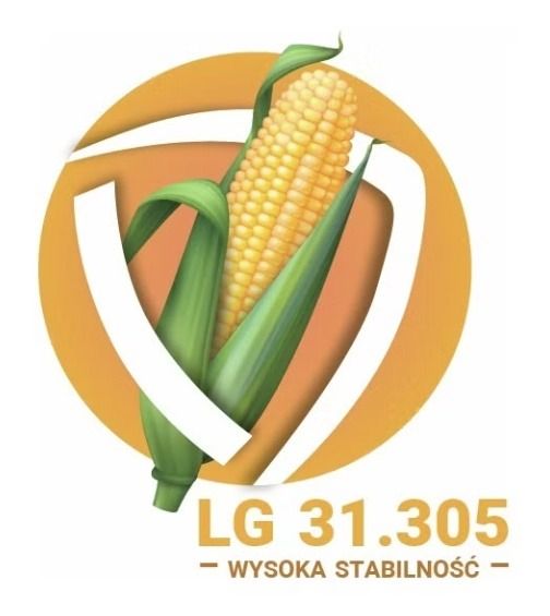 Kukurydza LG 31.305 F1 C1 50 tyś Force Limagrain