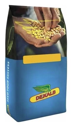 Kukurydza DKC 3027 F1 C1 50 tyś +B360 Bayer