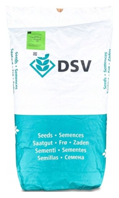 Mieszanka międzyplonowa MaisPro TR 50 25Kg DSV