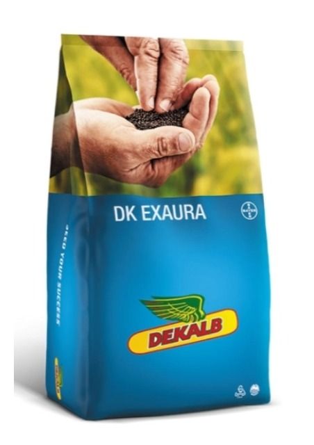 Rzepak ozimy DK Exaura F1 C1 Integral Pro + Buteo Start + Zinc Bayer