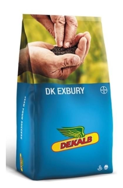 Rzepak ozimy DK Exbury F1 C1 Integral Pro + Buteo Start + Zinc Bayer