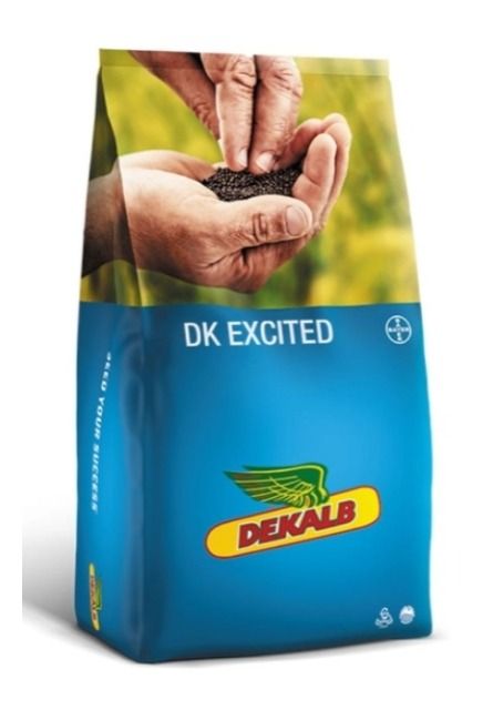 Rzepak ozimy DK Excited F1 C1 Integral Pro + Buteo Start + Zinc Bayer
