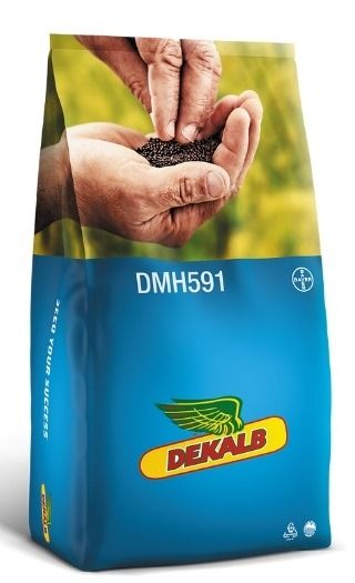 Rzepak ozimy DK DMH591 F1 C1 Integral Pro + Buteo Start + Zinc Bayer