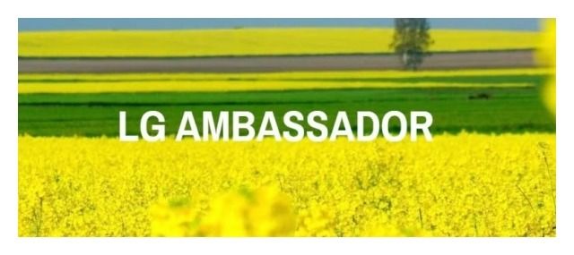 Rzepak ozimy Ambassador F1 C1 Integral Pro + Lumiposa Limagrain