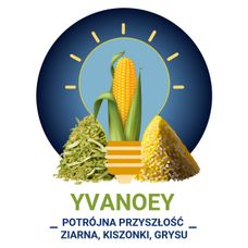 Kukurydza Yvanoey F1 C1 50 tyś Korit + Force Limagrain