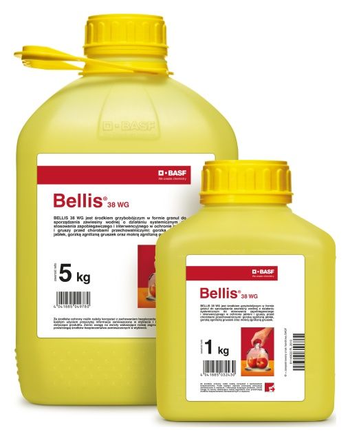 Bellis 38 WG BASF