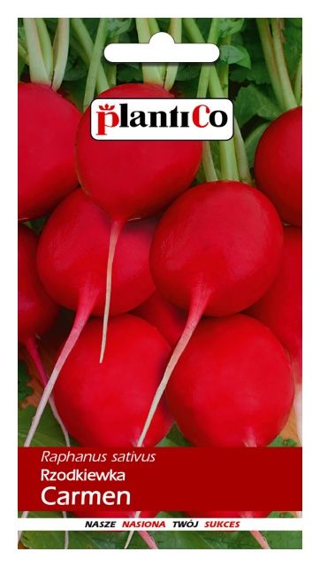 Rzodkiewka Carmen 100g Plantico