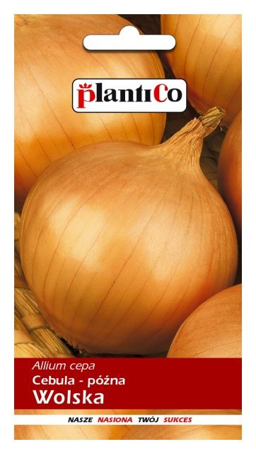 Cebula późna Wolska PlantiCo