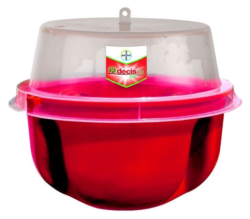 Decis Trap Droso Bayer1