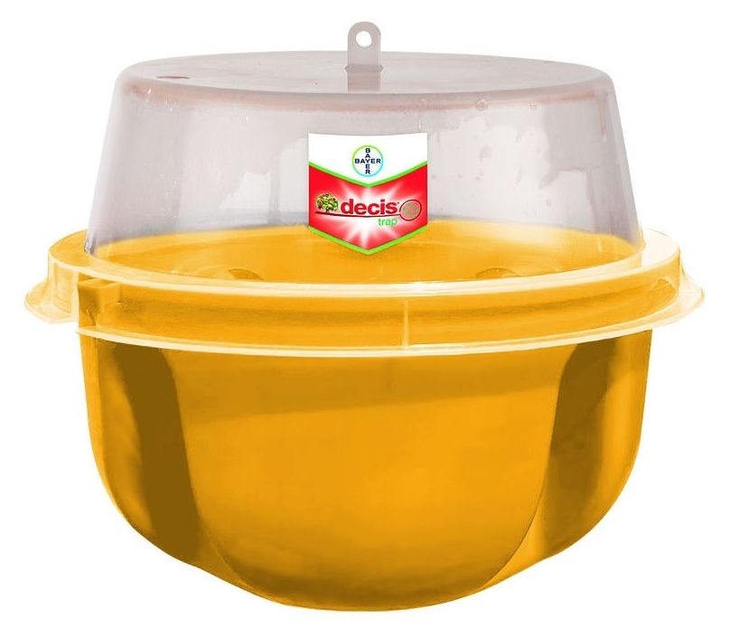 Decis Ttrap Cerasi Bayer
