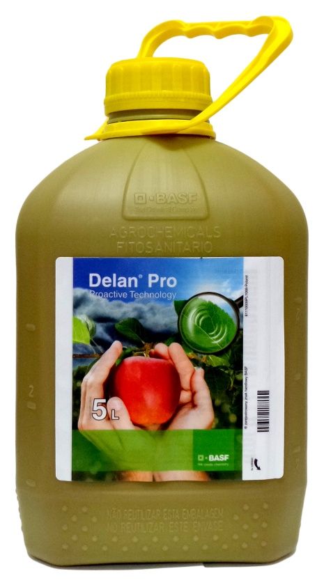 Delan Pro 5L Basf