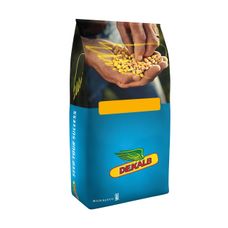 Kukurydza DKC 4098 F1 50tyś C1 Bayer