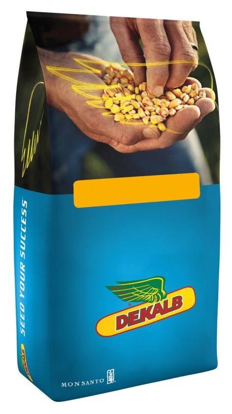 kukurydza DKC 3201 F1 50tys C1 Bayer